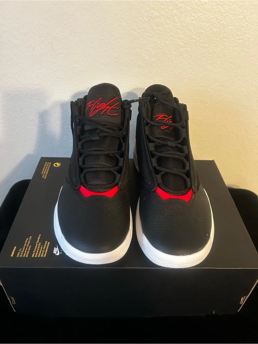 Jordan iconic design